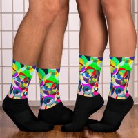 #-10-Chaos und Harmonie-Canvas-Socks